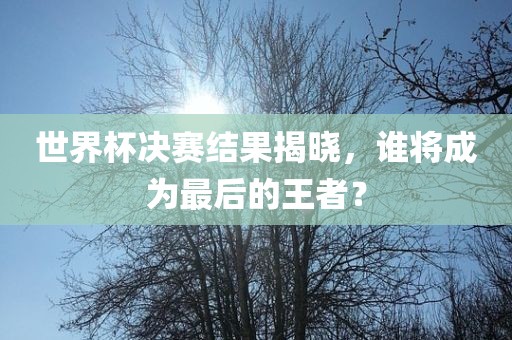 世界杯决赛结果揭晓，谁将成为最后的王者？漯河市盈旭机械设备有限公司