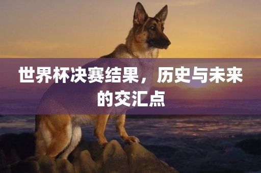 世界杯决赛结果