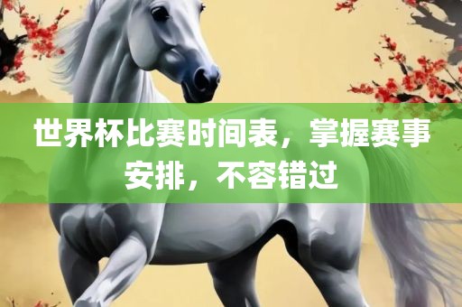 世界杯比赛时间表，掌握赛事安排，不容错过
