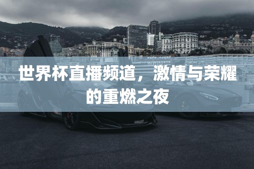 世界杯直播频道，激情与荣耀的重燃之夜