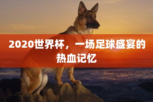 2020世界杯，一场足球盛宴的热血记忆漯河市盈旭机械设备有限公司