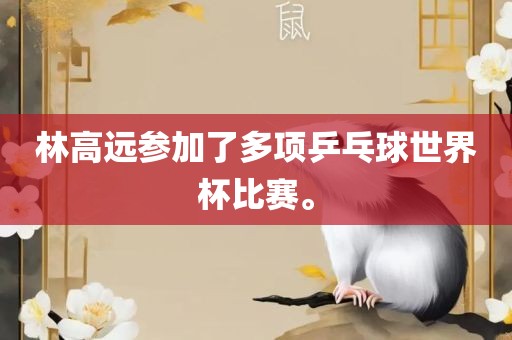 林高远参加了多项乒乓球世界杯比赛。
