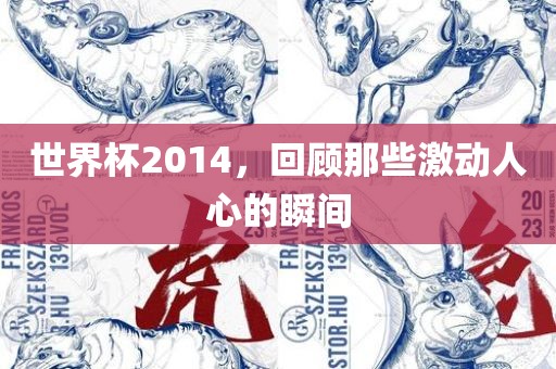 世界杯2014，回顾那些激动人心的瞬间