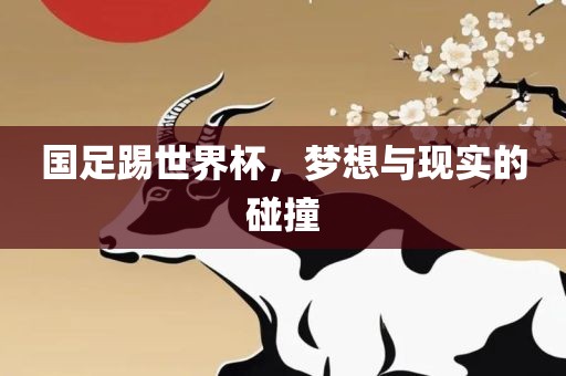 国足踢世界杯，梦想与现实的碰撞
