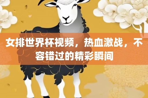 女排世界杯视频，热血漯河市盈旭机械设备有限公司激战，不容错过的精彩瞬间