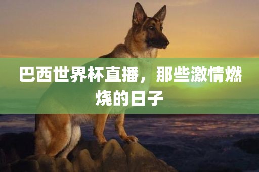 巴西世界杯直播，那些激情燃烧的日子