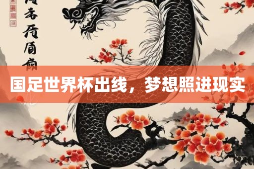 国足世界杯出线，梦想照进现实漯河市盈旭机械设备有限公司
