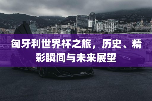 匈牙利世界杯之旅，历史、精彩瞬间与未来展望