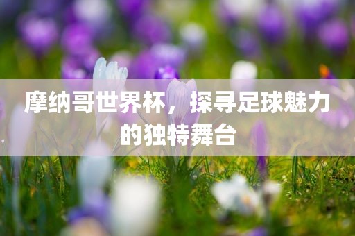 摩纳哥世界杯，探寻足球魅力的独特舞台漯河市盈旭机械设备有限公司