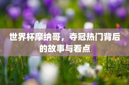 世界杯摩纳哥，夺冠热门背后的故事与看点