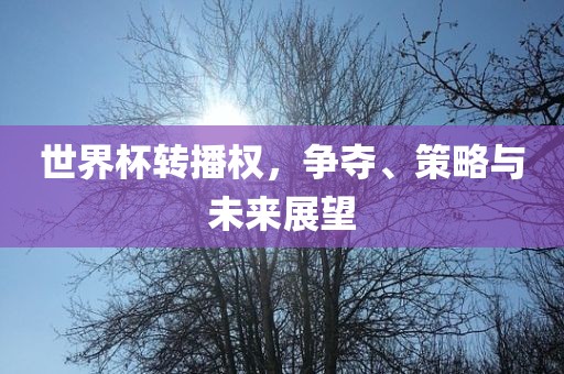 世界杯转播权，争夺、策略与未来展望漯河市盈旭机械设备有限公司