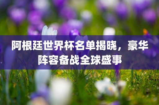 阿根廷世界杯名单揭晓，豪华阵容备战全球盛事