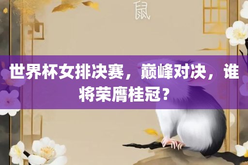 世界杯女排决赛，巅峰对决，谁将荣膺桂冠？