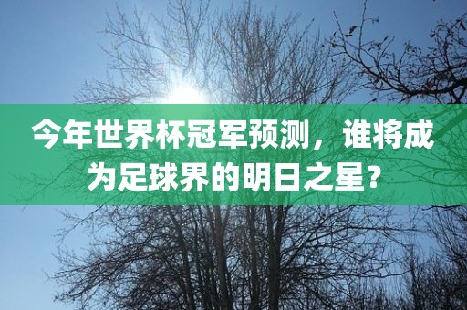 chenxinyao 第12页