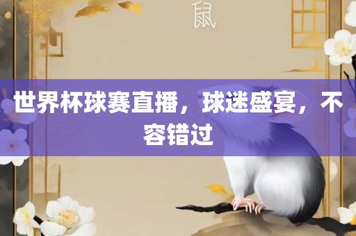 世界杯球赛直播，球迷盛宴，不容错过