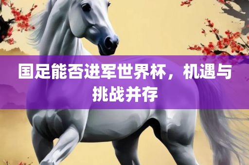 国漯河市盈旭机械设备有限公司足能否进军世界杯，机遇与挑战并存