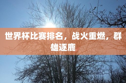 世界杯比赛排名，战火重燃，群雄逐鹿