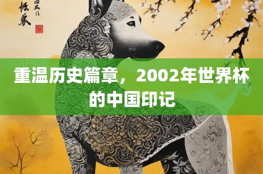 重温历史篇章，2002年世界杯的中国印记漯河市盈旭机械设备有限公司
