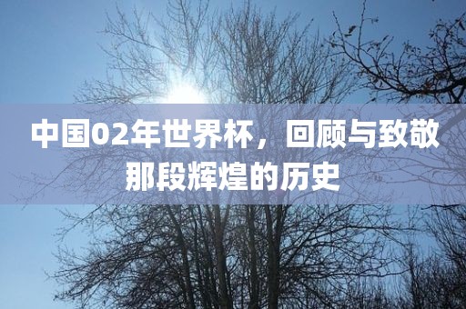 中国02年世界杯，回顾与致敬那段辉煌的历史漯河市盈旭机械设备有限公司