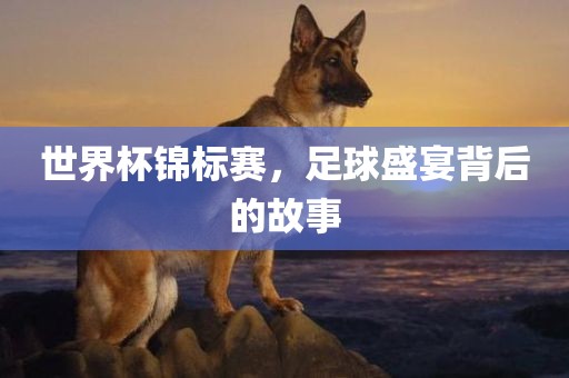 世界杯锦标赛，足球盛宴背后的故事