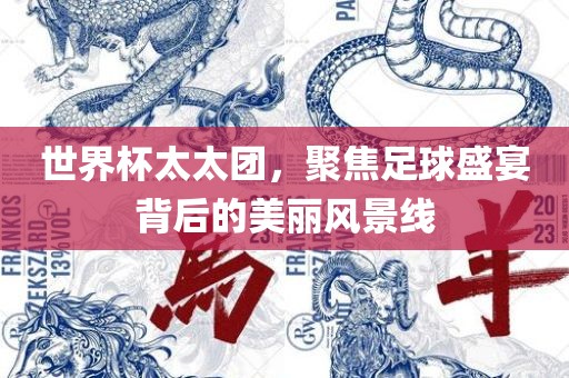 世界杯太太团，聚焦足球盛宴背后的美丽风景线