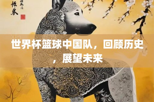 世界杯篮球中国队，回顾历史，展望未来