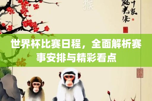 世界杯比赛日程，全面解析赛事安排与精彩看点