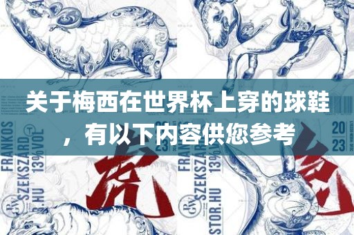 关于梅西在世界杯上穿的球鞋，有以下内容供您参考
