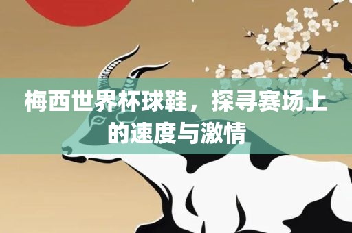 梅西世界杯球鞋，探寻赛场上的速度与激情