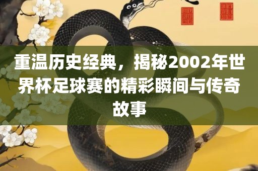 重温历史经典，揭秘2002年世界杯足球赛的精彩瞬间与传奇故事漯河市盈旭机械设备有限公司