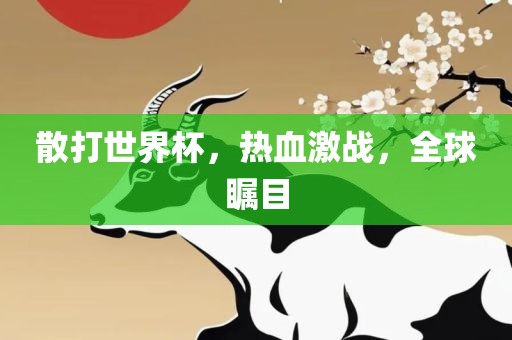 散打世界杯，热血激战，全球瞩目