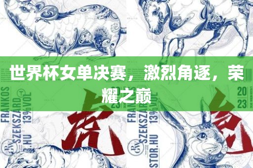 世界杯女单决赛，激烈角逐，荣耀之巅