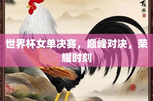 世界杯女单决赛，巅峰对决，荣耀时刻
