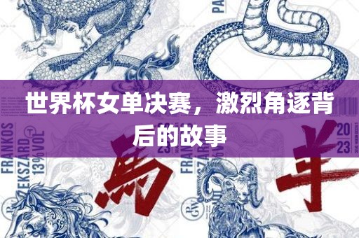 世界杯女单决赛，激烈角逐背后的故事