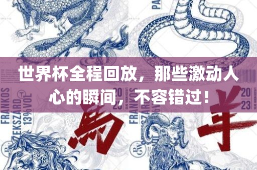 世界杯全程回放，那些激动人心的瞬间，不容错过！