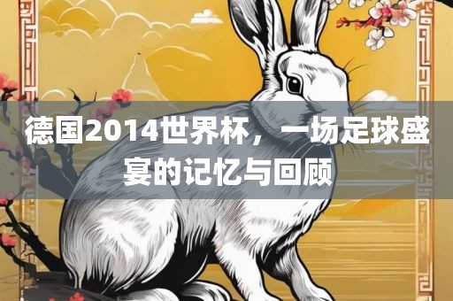 德国2014世界杯，一场足球盛宴的记忆与回顾漯河市盈旭机械设备有限公司