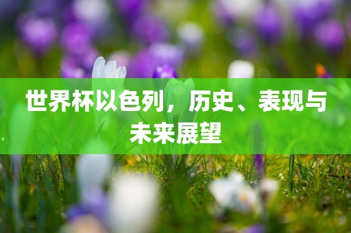 世界杯以色列，历史、表现与未来展望漯河市盈旭机械设备有限公司