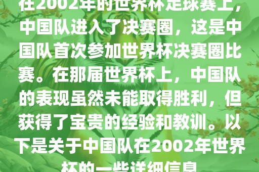 在2002年的世界杯足球赛上，中国队进入了决赛圈，这是中国队首次参加世界杯决赛圈比赛。在那届世界杯上，中国队的表现虽然未能取得胜利，但获得了宝贵的经验和教训。以下是关于中国队在2002年世界杯的一些详细信息