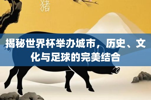 揭秘世界杯举办城市，历史、文化与足球的完美结合漯河市盈旭机械设备有限公司