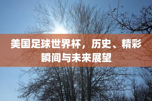 美国足球世界杯，历史、精彩瞬间与未来展望漯河市盈旭机械设备有限公司