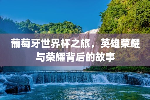 葡萄牙世界杯之旅，英雄荣耀与荣耀背后的故事