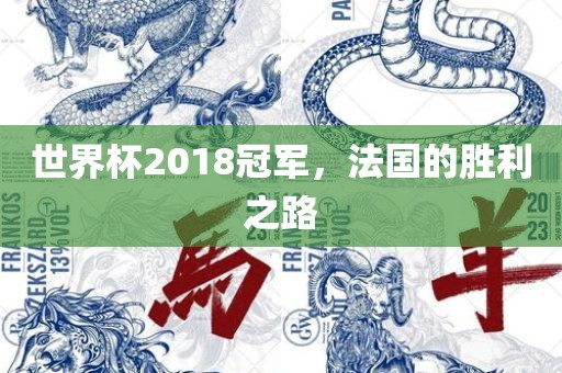 世界杯2018冠军，法国的胜利之路漯河市盈旭机械设备有限公司