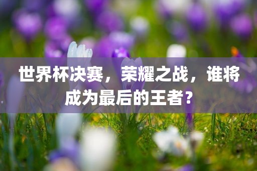 世界杯决赛，荣耀之战，谁将成为最后的王者？