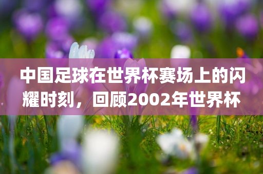 中国足球在世界杯赛场上的闪耀时刻，回顾2002年世界杯漯河市盈旭机械设备有限公司