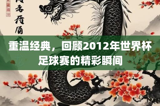 重温经典，回顾2012年世界杯足球赛的精彩瞬间漯河市盈旭机械设备有限公司