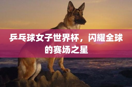 乒乓球女子世界杯，闪耀全球的赛场之星