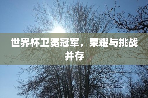 世界杯卫冕冠军，荣耀与挑战并存