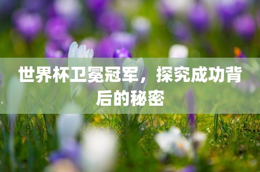 世界杯卫冕冠军，探究成功背后的秘密漯河市盈旭机械设备有限公司