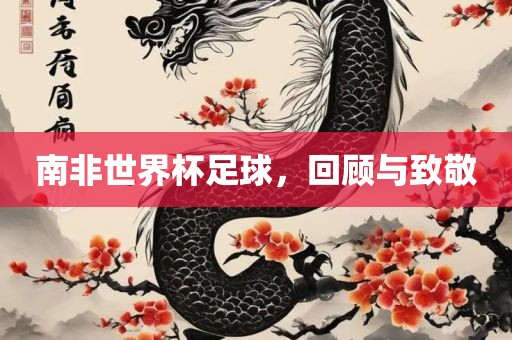 南非世界杯足球，回顾与致敬