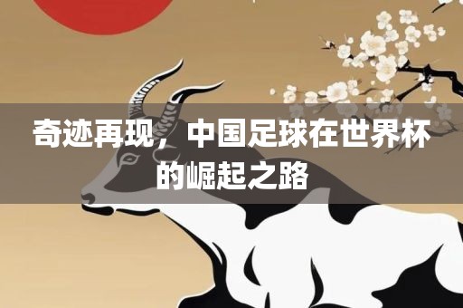 奇迹再现，中国足球在世界杯的崛起之路漯河市盈旭机械设备有限公司